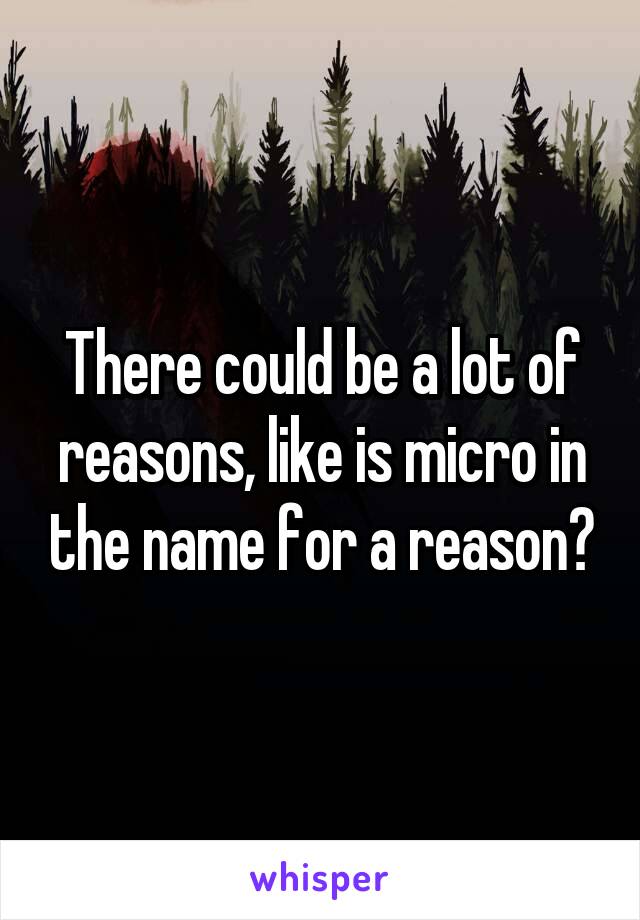 There could be a lot of reasons, like is micro in the name for a reason?