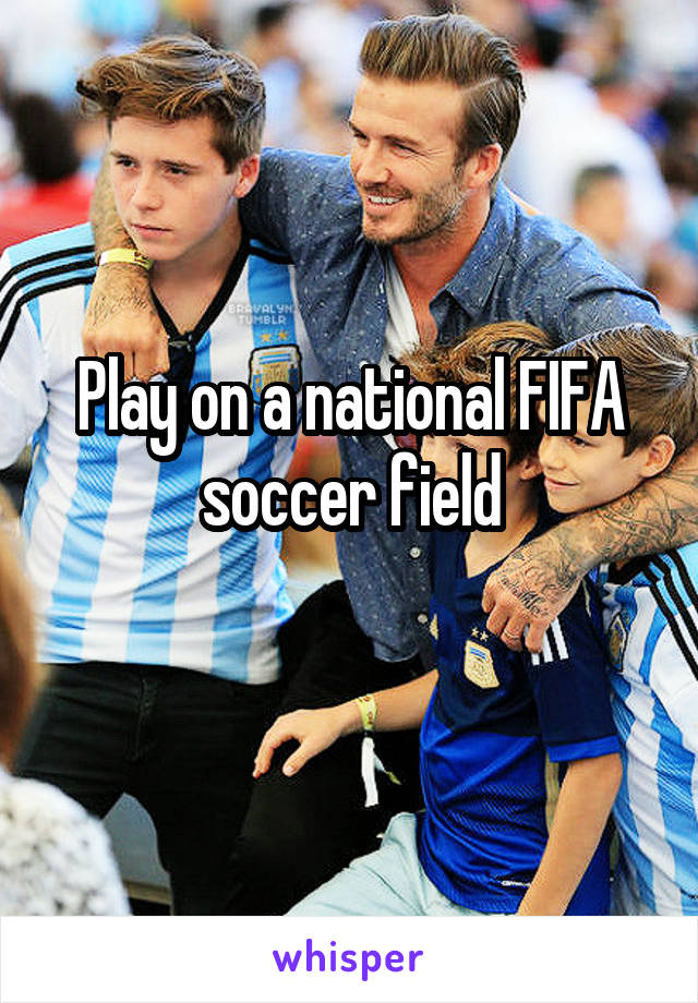 Play on a national FIFA soccer field

