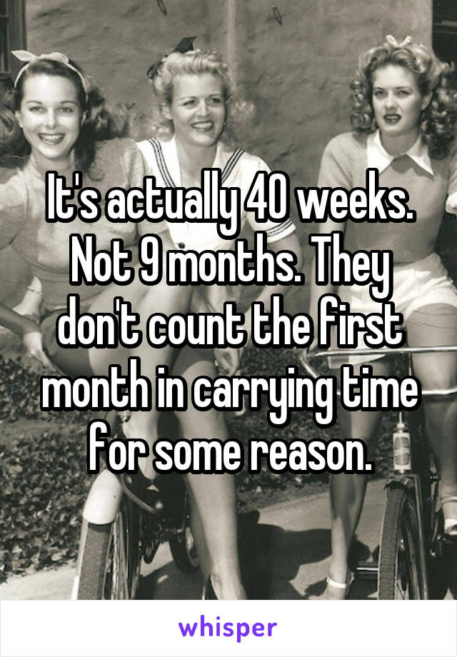 It's actually 40 weeks. Not 9 months. They don't count the first month in carrying time for some reason.