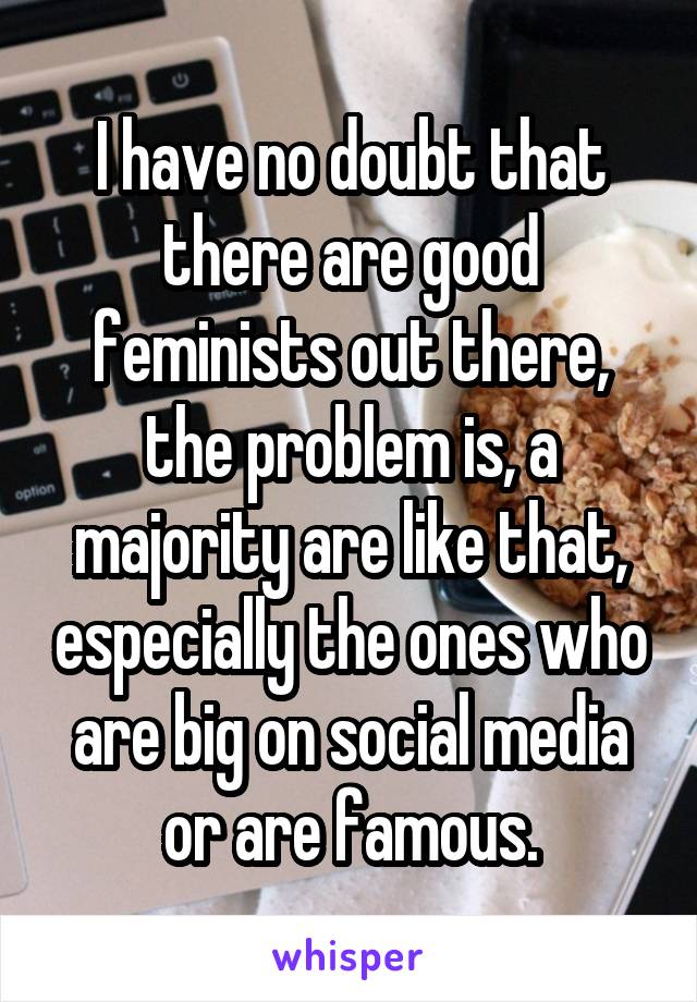 I have no doubt that there are good feminists out there, the problem is, a majority are like that, especially the ones who are big on social media or are famous.