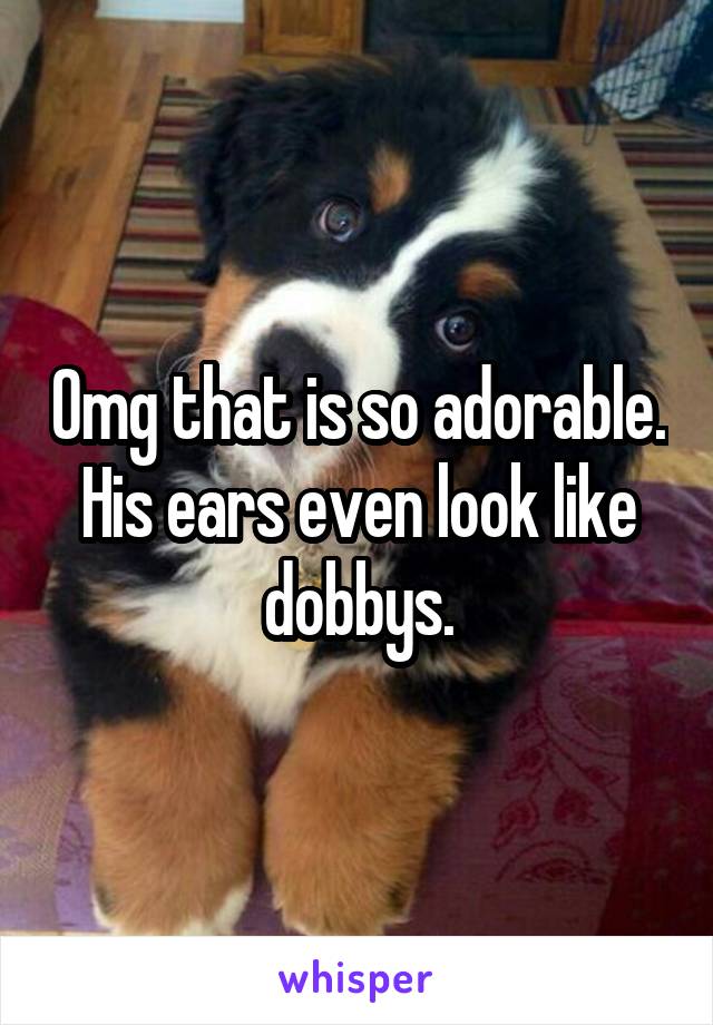 Omg that is so adorable. His ears even look like dobbys.