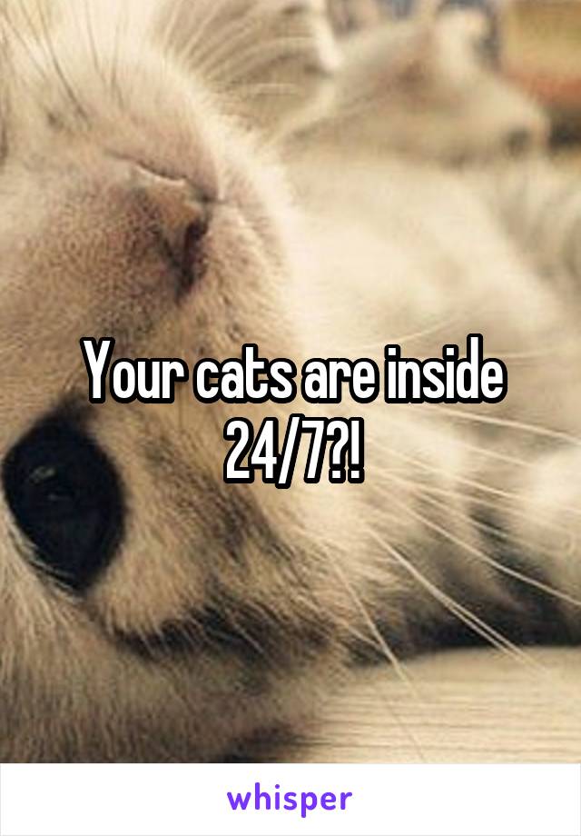 Your cats are inside 24/7?!