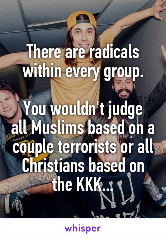 There are radicals within every group.

You wouldn't judge all Muslims based on a couple terrorists or all Christians based on the KKK...