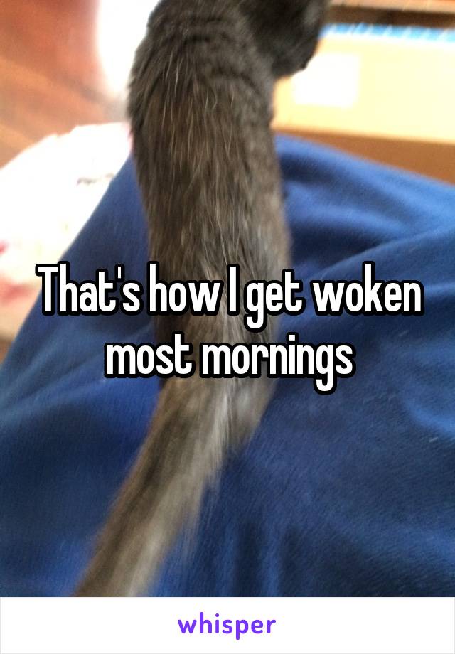 That's how I get woken most mornings