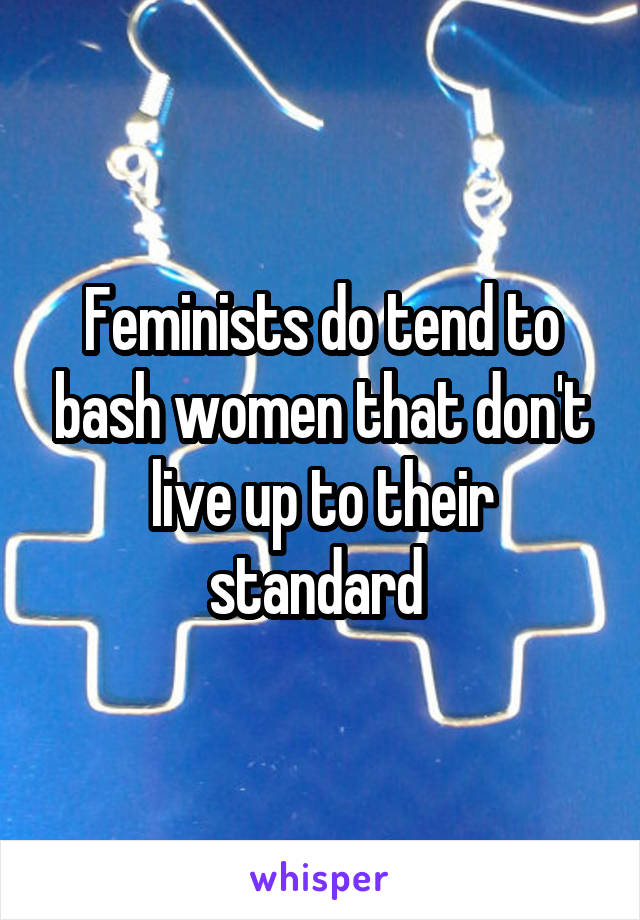 Feminists do tend to bash women that don't live up to their standard 