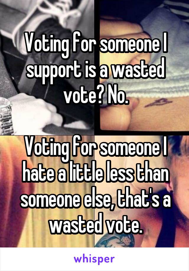 Voting for someone I support is a wasted vote? No.

Voting for someone I hate a little less than someone else, that's a wasted vote.
