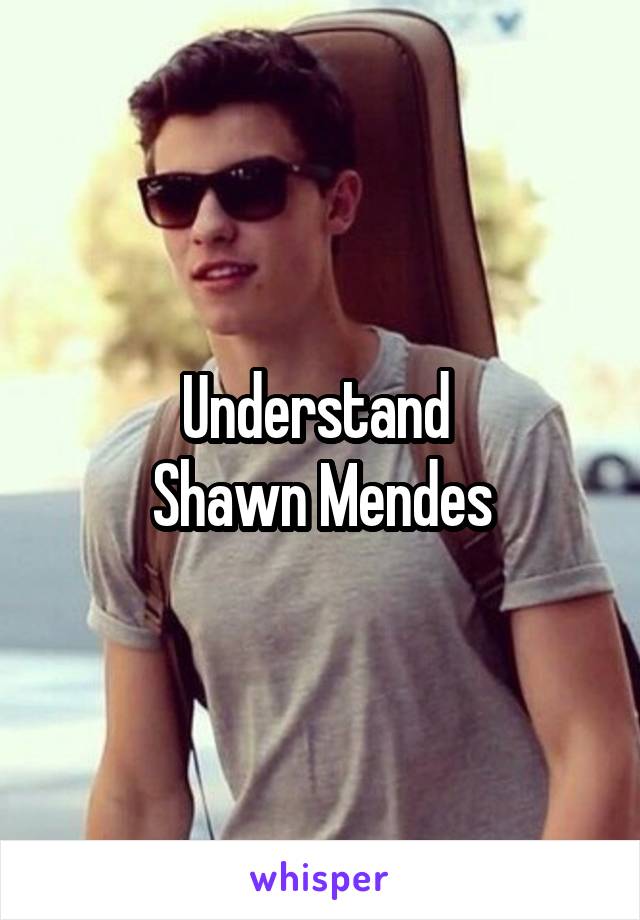 Understand 
Shawn Mendes