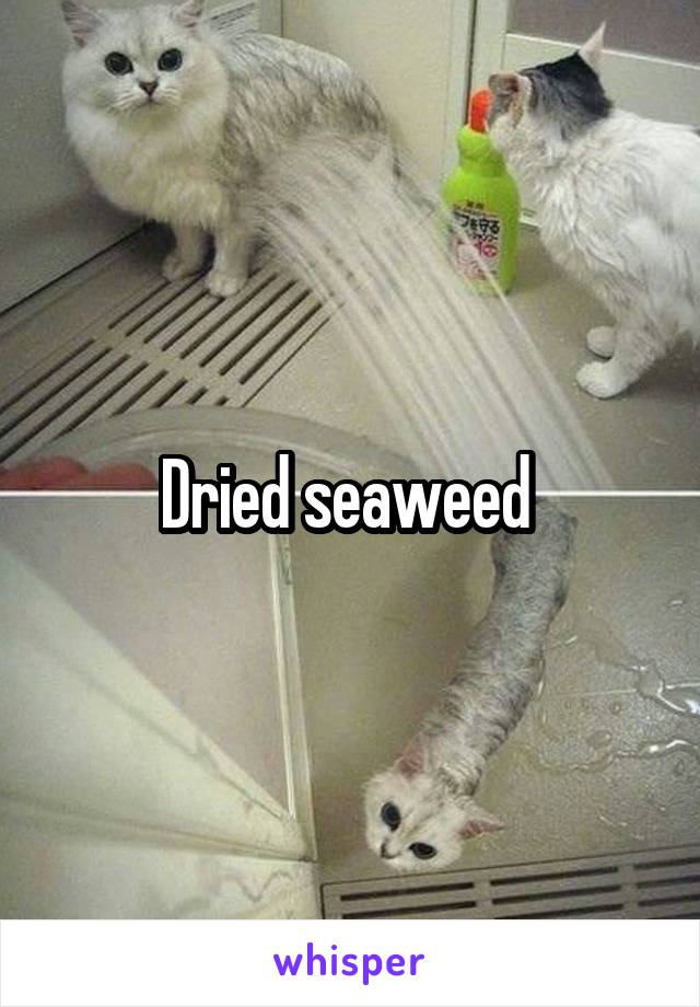 Dried seaweed 