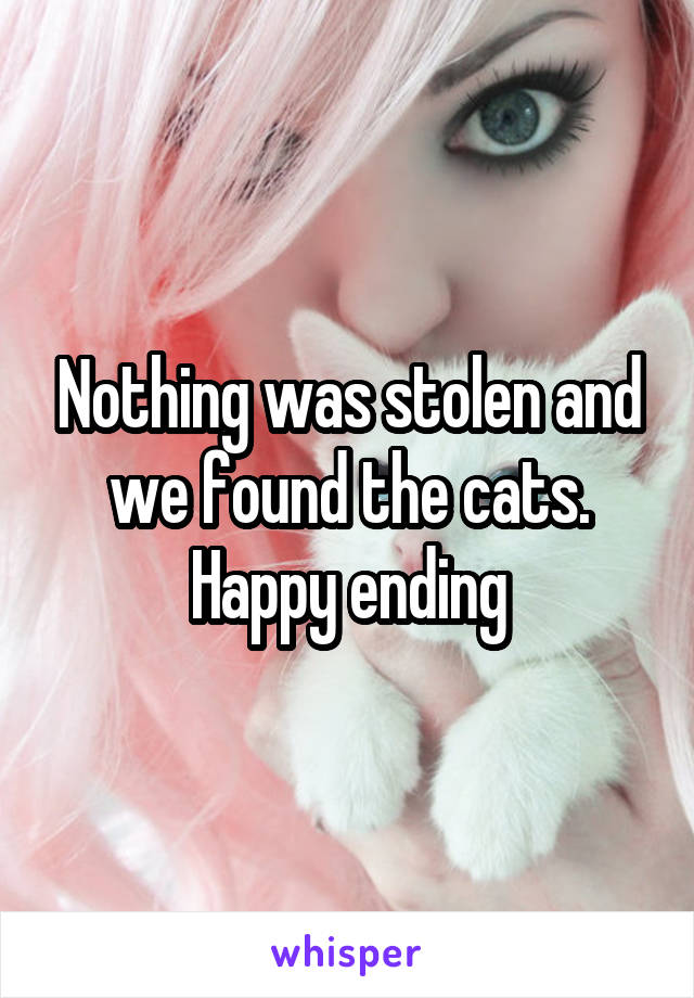 Nothing was stolen and we found the cats. Happy ending