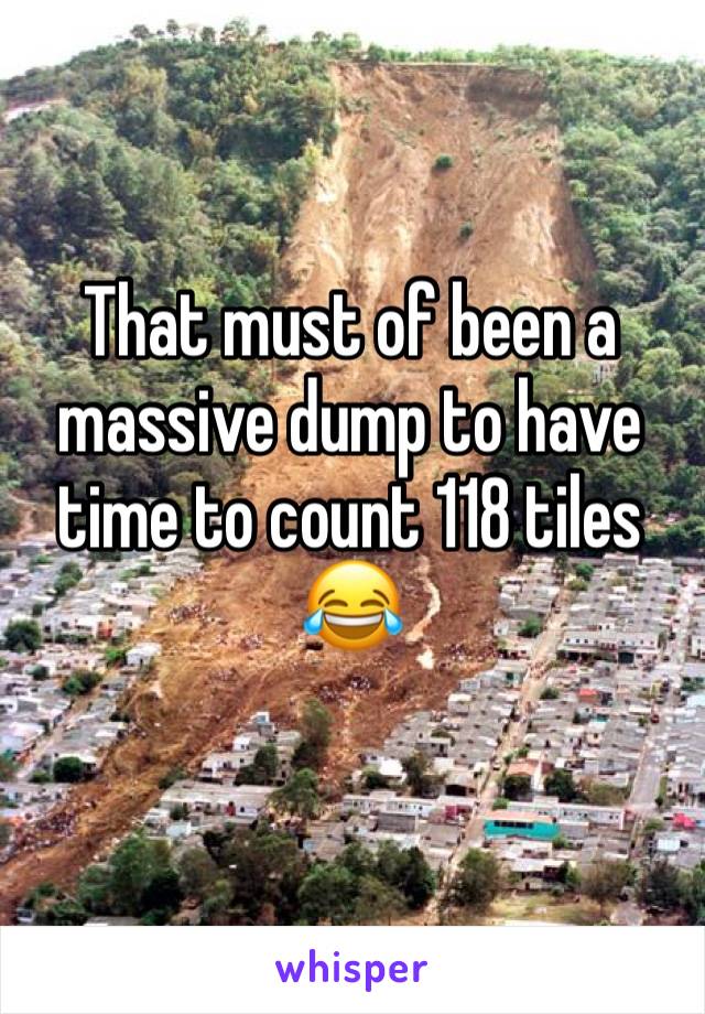 That must of been a massive dump to have time to count 118 tiles 😂