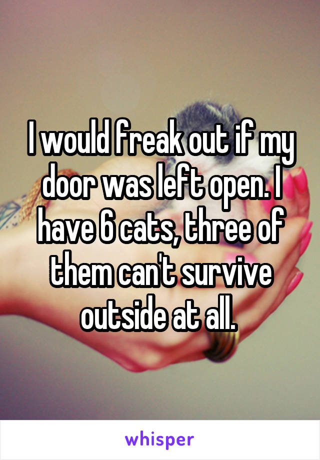 I would freak out if my door was left open. I have 6 cats, three of them can't survive outside at all. 
