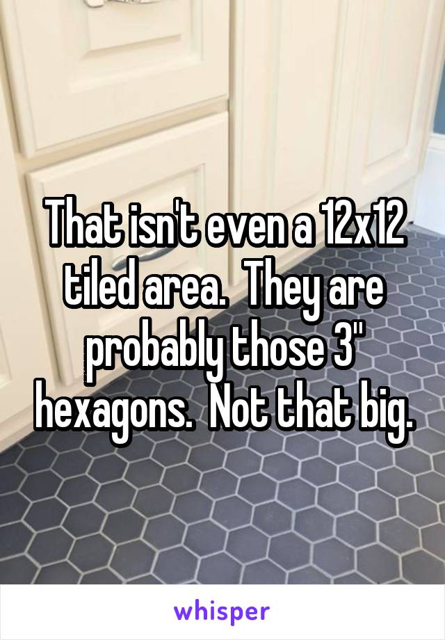 That isn't even a 12x12 tiled area.  They are probably those 3" hexagons.  Not that big.