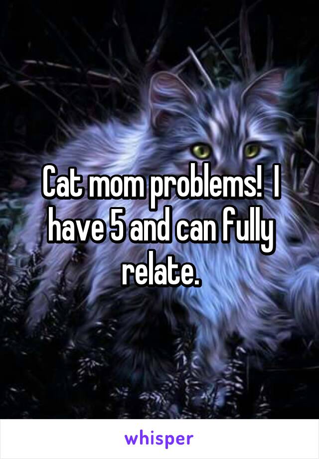 Cat mom problems!  I have 5 and can fully relate.