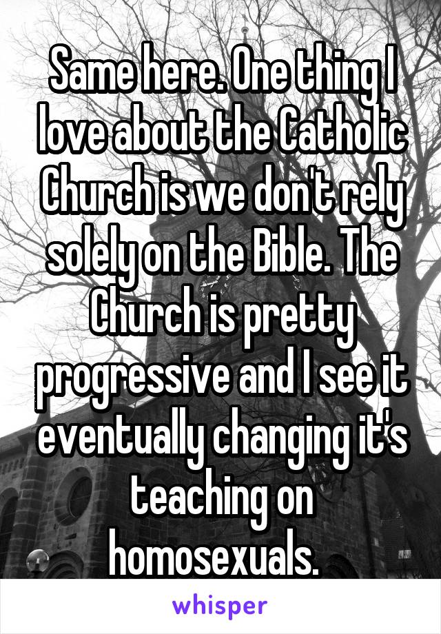 Same here. One thing I love about the Catholic Church is we don't rely solely on the Bible. The Church is pretty progressive and I see it eventually changing it's teaching on homosexuals.  