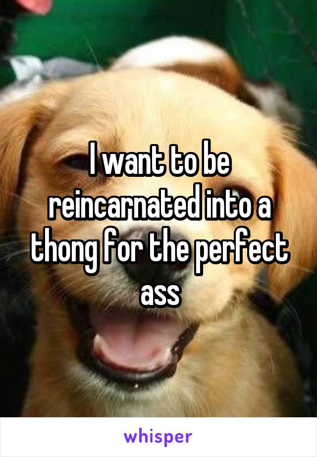 I want to be reincarnated into a thong for the perfect ass