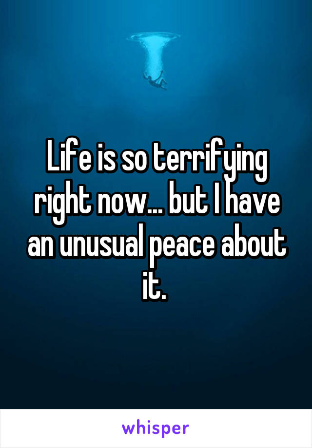 Life is so terrifying right now... but I have an unusual peace about it. 