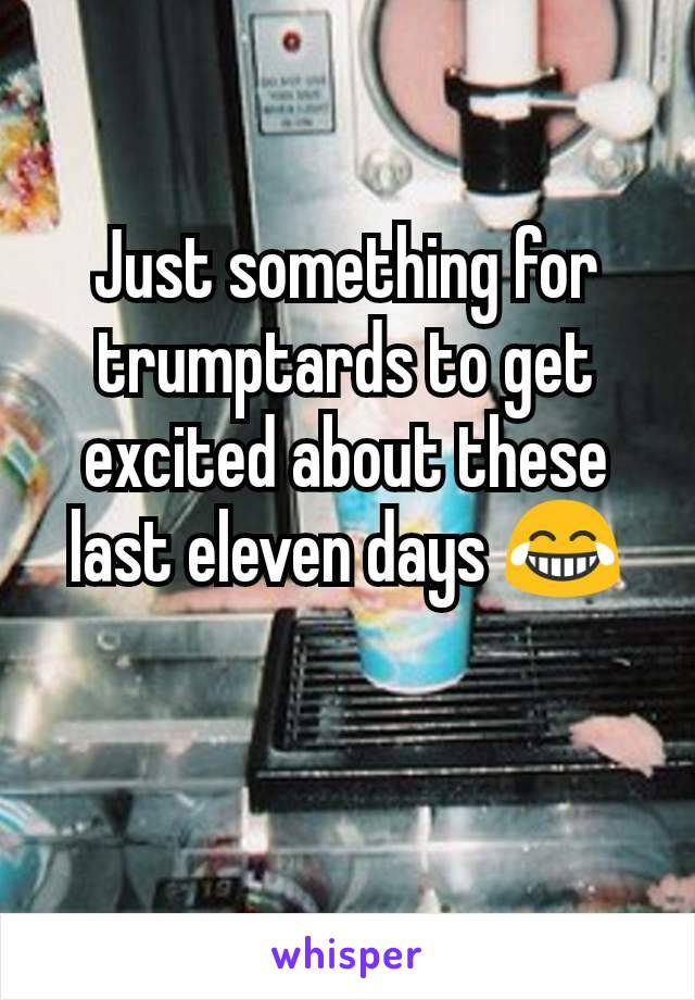 Just something for trumptards to get excited about these last eleven days 😂

