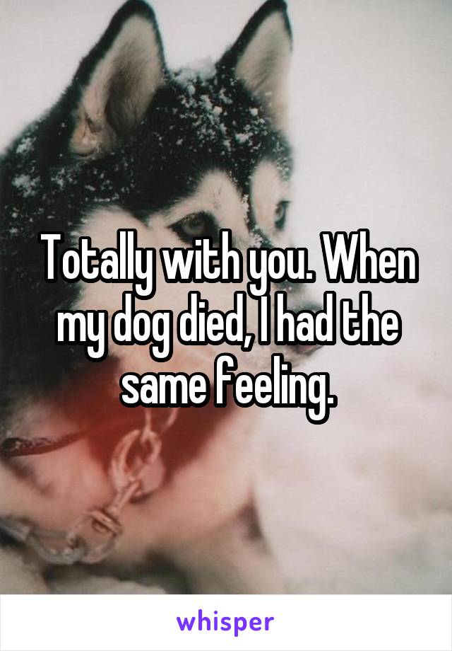 Totally with you. When my dog died, I had the same feeling.