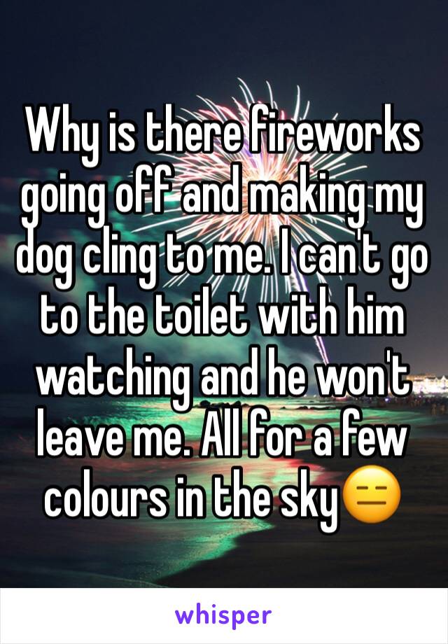 Why is there fireworks going off and making my dog cling to me. I can't go to the toilet with him watching and he won't leave me. All for a few colours in the sky😑