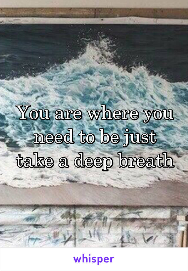 You are where you need to be just take a deep breath
