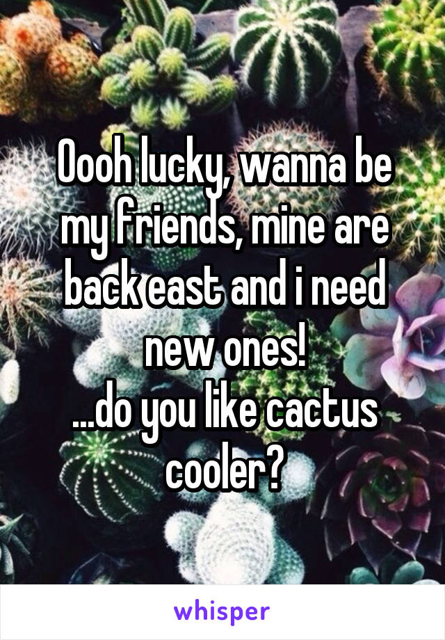 Oooh lucky, wanna be my friends, mine are back east and i need new ones!
...do you like cactus cooler?