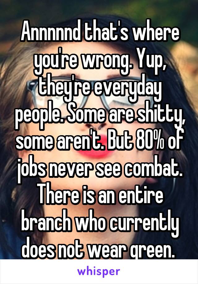 Annnnnd that's where you're wrong. Yup, they're everyday people. Some are shitty, some aren't. But 80% of jobs never see combat. There is an entire branch who currently does not wear green. 