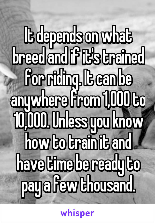 It depends on what breed and if it's trained for riding. It can be anywhere from 1,000 to 10,000. Unless you know how to train it and have time be ready to pay a few thousand.