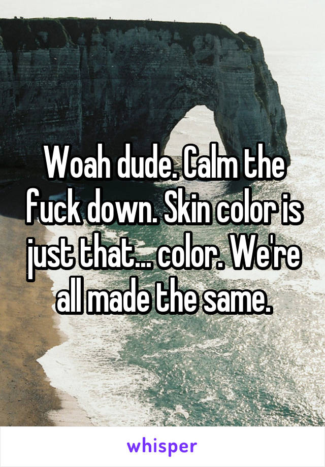 Woah dude. Calm the fuck down. Skin color is just that... color. We're all made the same.