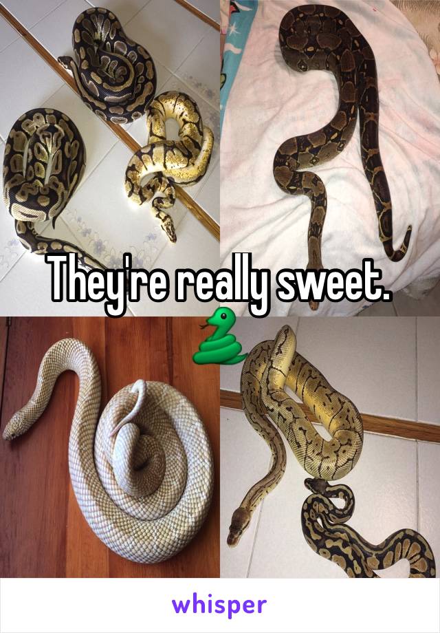 They're really sweet. 🐍
