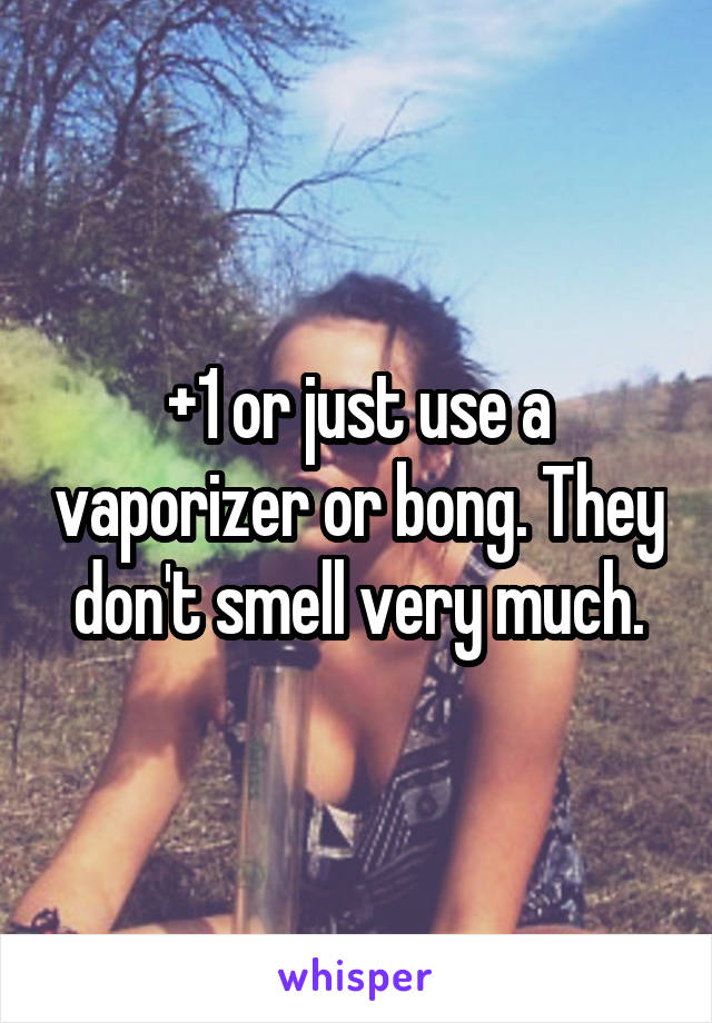 +1 or just use a vaporizer or bong. They don't smell very much.