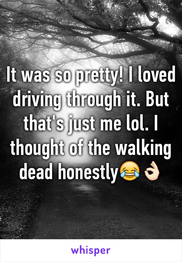 It was so pretty! I loved driving through it. But that's just me lol. I thought of the walking dead honestly😂👌🏻