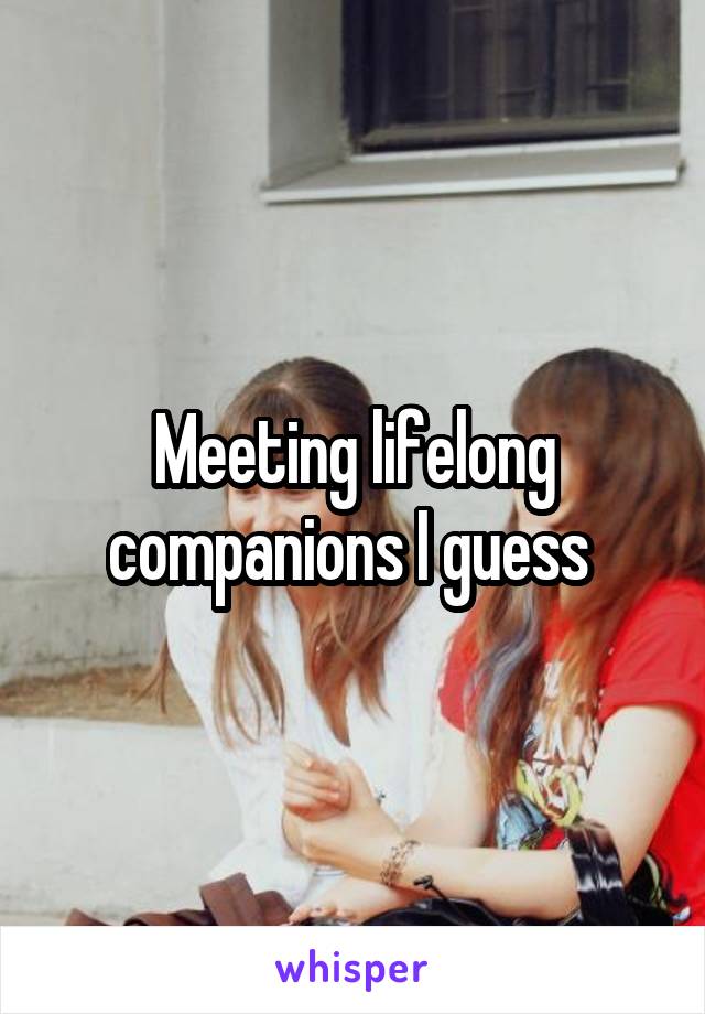 Meeting lifelong companions I guess 