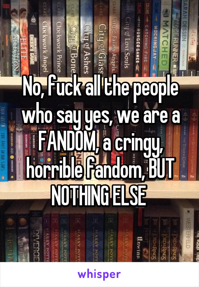 No, fuck all the people who say yes, we are a FANDOM, a cringy, horrible fandom, BUT NOTHING ELSE 