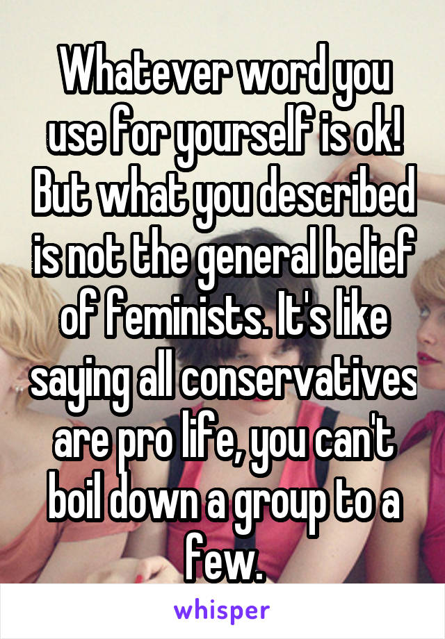 Whatever word you use for yourself is ok! But what you described is not the general belief of feminists. It's like saying all conservatives are pro life, you can't boil down a group to a few.