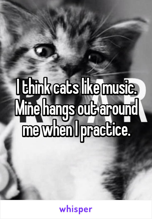 I think cats like music. Mine hangs out around me when I practice.