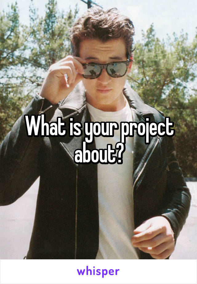 What is your project about?