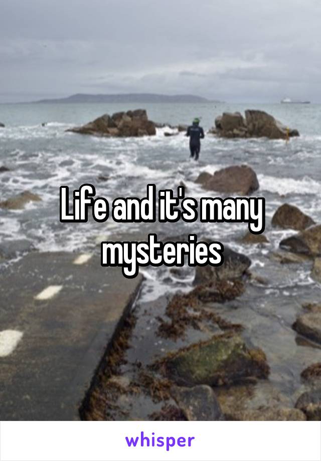 Life and it's many mysteries
