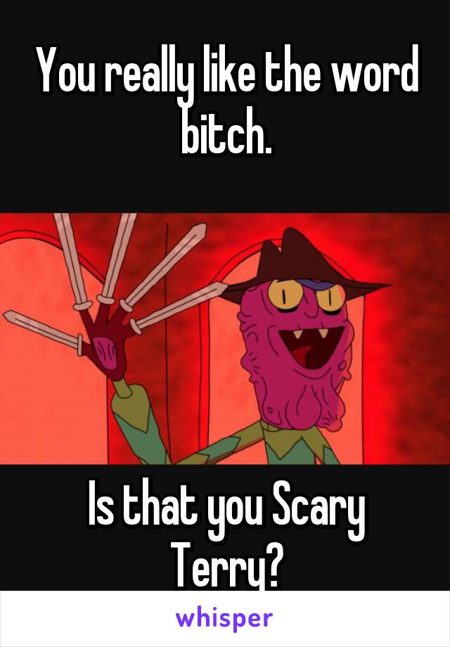 You really like the word bitch.





Is that you Scary Terry?