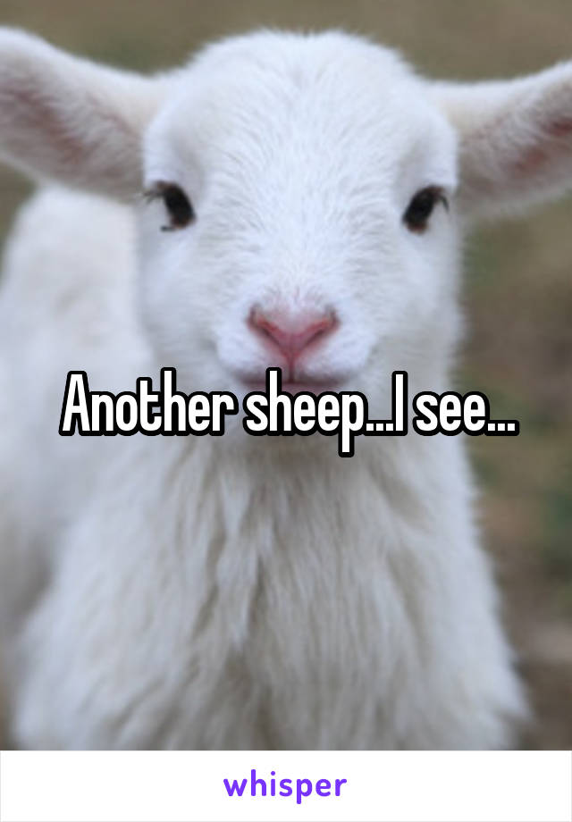 Another sheep...I see...