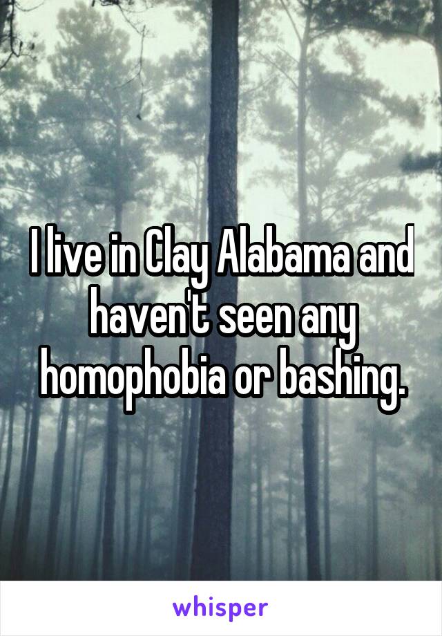 I live in Clay Alabama and haven't seen any homophobia or bashing.