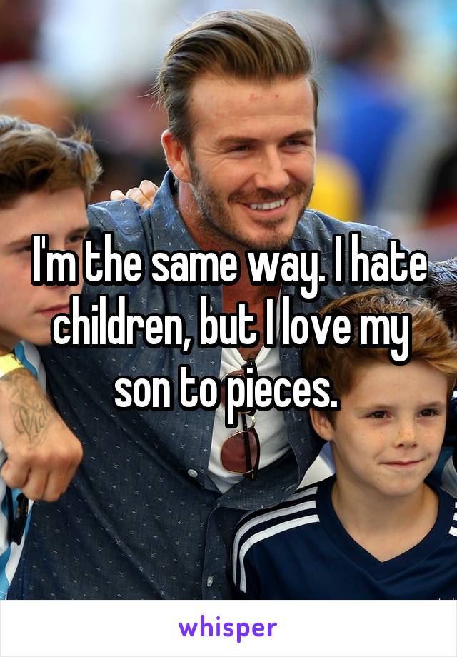 I'm the same way. I hate children, but I love my son to pieces. 