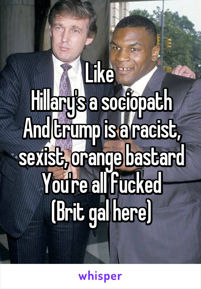 Like 
Hillary's a sociopath
And trump is a racist, sexist, orange bastard
You're all fucked
(Brit gal here)