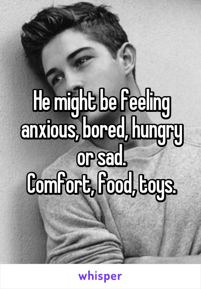 He might be feeling anxious, bored, hungry or sad.
Comfort, food, toys.