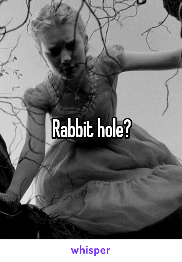 Rabbit hole?