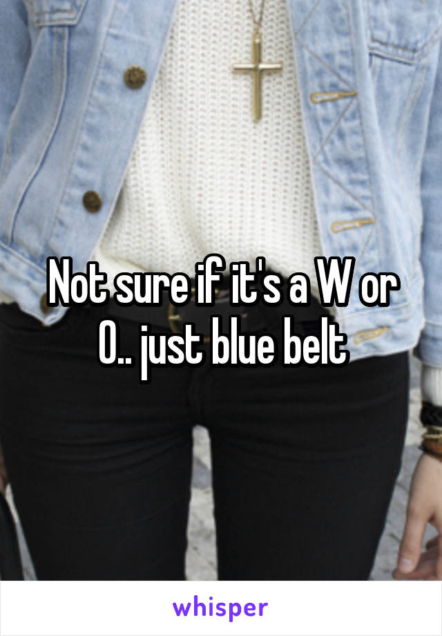 Not sure if it's a W or O.. just blue belt
