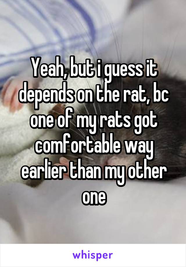 Yeah, but i guess it depends on the rat, bc one of my rats got comfortable way earlier than my other one