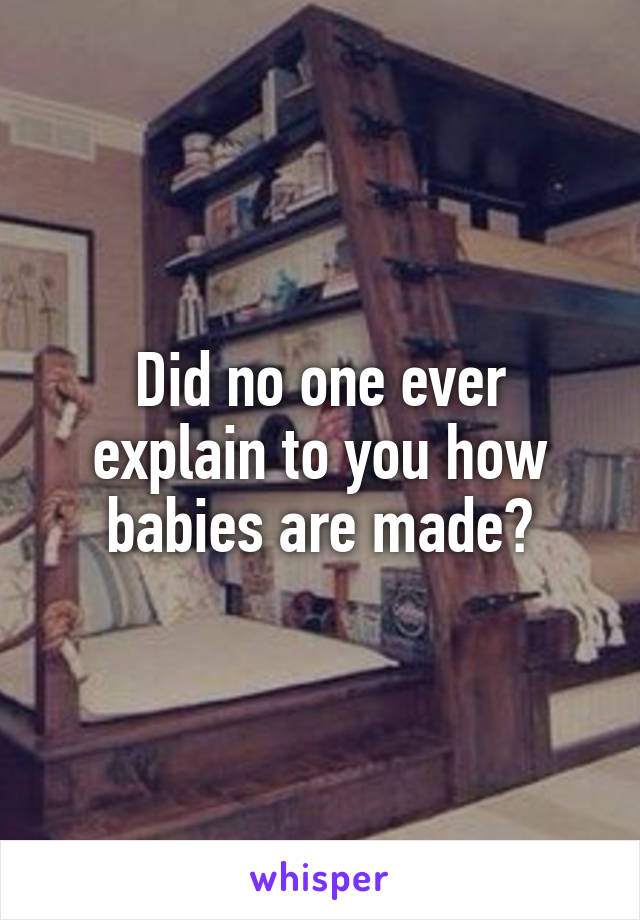 Did no one ever explain to you how babies are made?