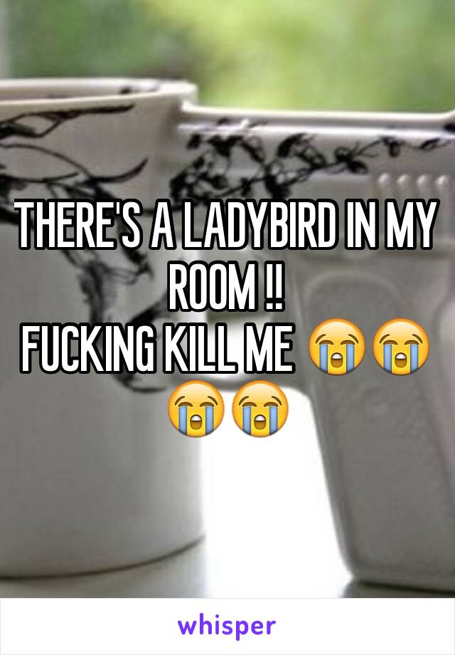 THERE'S A LADYBIRD IN MY ROOM !!
FUCKING KILL ME 😭😭😭😭