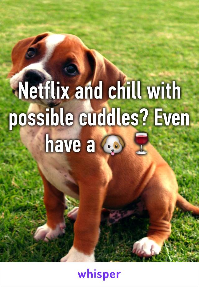 Netflix and chill with possible cuddles? Even have a 🐶 🍷