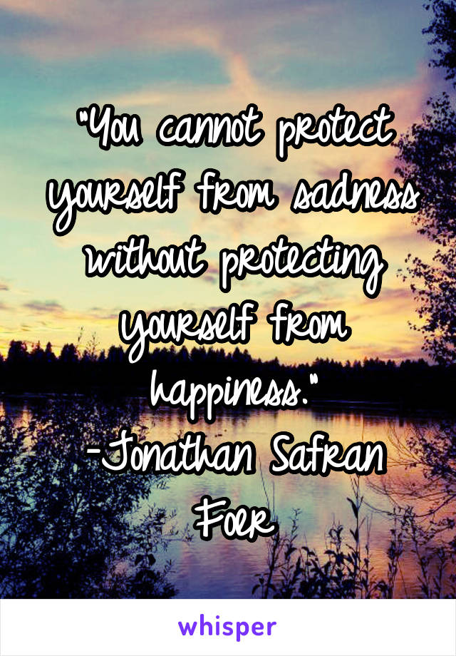 "You cannot protect yourself from sadness without protecting yourself from happiness."
-Jonathan Safran Foer
